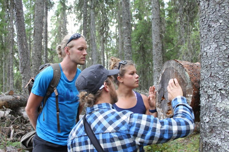 Björn & Vildmark – Follow a bear researcher into the Wild